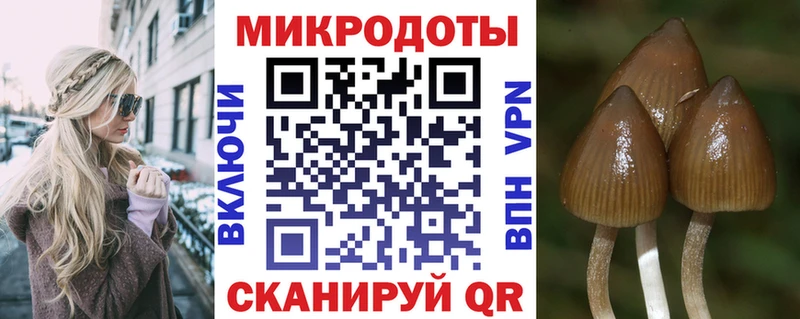 Псилоцибиновые грибы ЛСД  Саратов 