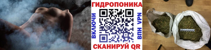 где найти Саратов Каннабис индика